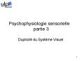 Duplicit du Systme Visuel PowerPoint PPT Presentation