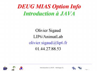 DEUG MIAS Option Info Introduction JAVA