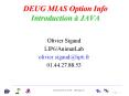 DEUG MIAS Option Info Introduction JAVA PowerPoint PPT Presentation