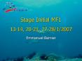 Stage Initial MF1 1314, 2021, 272812007 PowerPoint PPT Presentation