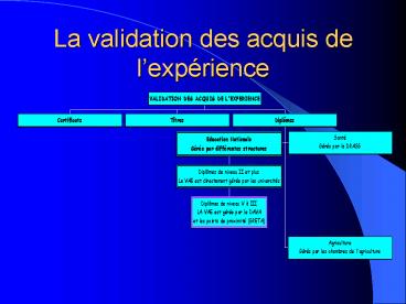 La validation des acquis de lexprience