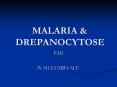 MALARIA PowerPoint PPT Presentation