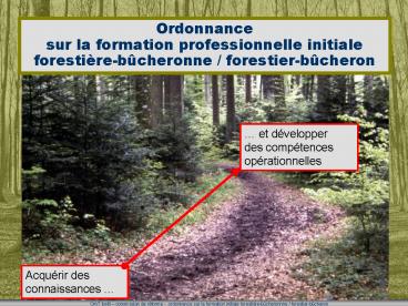 Ordonnance sur la formation professionnelle initiale forestirebcheronne forestierbcheron