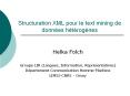 Structuration XML pour le text mining de donn PowerPoint PPT Presentation