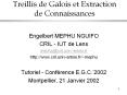 Treillis de Galois et Extraction de Connaissances PowerPoint PPT Presentation
