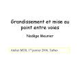 Grandissement et mise au point entre voies PowerPoint PPT Presentation