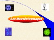 Les Bact