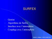 SURFEX