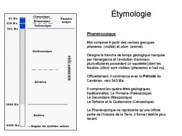 tymologie
