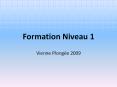 Formation Niveau 1 PowerPoint PPT Presentation