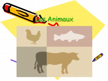 presentation player overlay