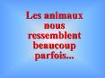Les animaux nous ressemblent beaucoup parfois''' PowerPoint PPT Presentation