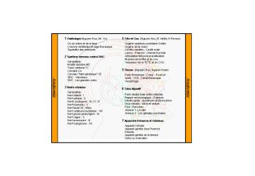 Prsentation PowerPoint