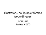 Illustrator 