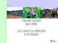 L'INDUSTRIE FORESTIRE PowerPoint PPT Presentation