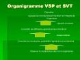 Organigramme VSP et SVT PowerPoint PPT Presentation