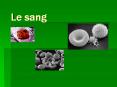 Le sang PowerPoint PPT Presentation