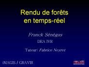 Rendu de forts en tempsrel