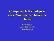 Comparez%20la%20Narcolepsie%20chez%20l
