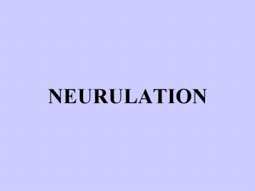 NEURULATION