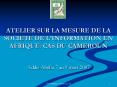 ATELIER SUR LA MESURE DE LA SOCIETE DE LINFORMATION EN AFRIQUE: CAS DU CAMEROUN PowerPoint PPT Presentation