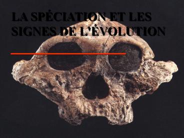 Aucun titre de diapositive