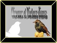 Oiseaux et Dictons divers