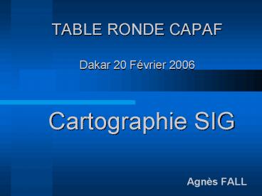 TABLE RONDE CAPAF Dakar 20 Fvrier 2006
