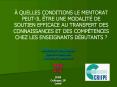 QUELLES CONDITIONS LE MENTORAT PEUTIL TRE UNE MODALIT DE SOUTIEN EFFICACE AU TRANSFERT DES CONNAISS PowerPoint PPT Presentation