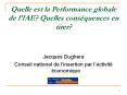 Quelle est la Performance globale de l'IAE Quelles consquences en tirer PowerPoint PPT Presentation