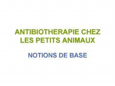 ANTIBIOTHERAPIE CHEZ LES PETITS ANIMAUX