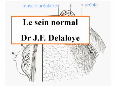 Snologie : pathologie