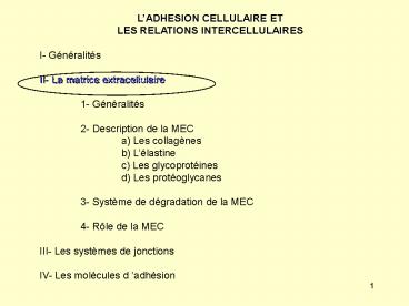 Aucun titre de diapositive