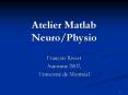 Atelier Matlab NeuroPhysio PowerPoint PPT Presentation