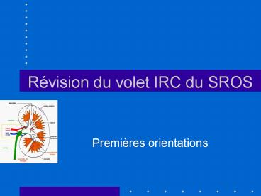 Rvision du volet IRC du SROS