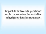 Impact de la diversit