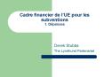 Cadre financier de lUE pour les subventions 1' Dpenses PowerPoint PPT Presentation
