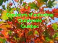 Couleurs dautomne Outaouais Quebec PowerPoint PPT Presentation