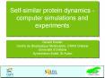 Selfsimilar protein dynamics computer simulations and experiments PowerPoint PPT Presentation