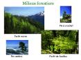 Milieux forestiers PowerPoint PPT Presentation