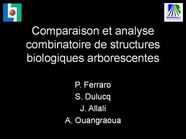 Comparaison et analyse combinatoire de structures biologiques arborescentes