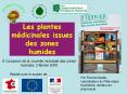 Les plantes mdicinales issues des zones humides PowerPoint PPT Presentation