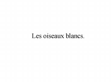 Les oiseaux blancs'
