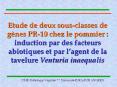 Etude de deux sous-classes de g PowerPoint PPT Presentation