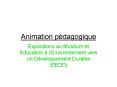 Animation pdagogique PowerPoint PPT Presentation