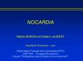 NOCARDIA Patrick BOIRON et Frdric LAURENT Facult de Pharmacie Lyon Observatoire Franais des Nocardio PowerPoint PPT Presentation