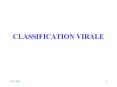 CLASSIFICATION VIRALE PowerPoint PPT Presentation