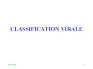 CLASSIFICATION VIRALE
