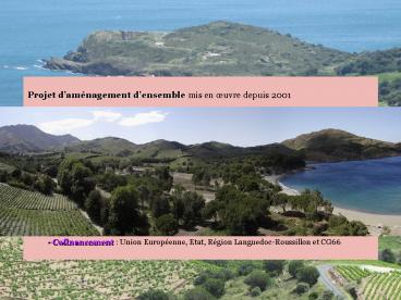 Le projet de PAULILLES