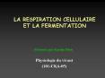LA RESPIRATION CELLULAIRE ET LA FERMENTATION PowerPoint PPT Presentation